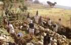 التدريب