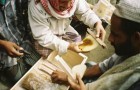 الزراعة