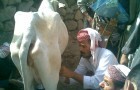 التنمية الريفية