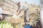 التنمية الريفية