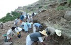 الاشغال كثيفة العمالة