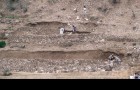 الاشغال كثيفة العمالة