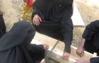 الزراعة
