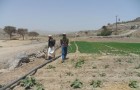 Irrigation system project in Belad Arlrous - Sanaa 2010