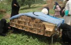 Women producing groups of beekeeing