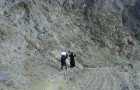 Wesab Alali_Dhamar