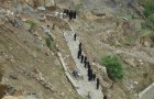 Dhamar_LIWP