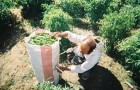 agricultural & Rural development