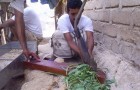 Agriculture