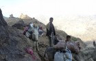 Wesab Alali_Dhamar