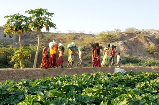 World Food Day and Yemeni achievements!