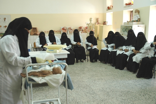 Review of SFD support to health institutes (2002–09)