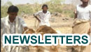 SFD Newsletters